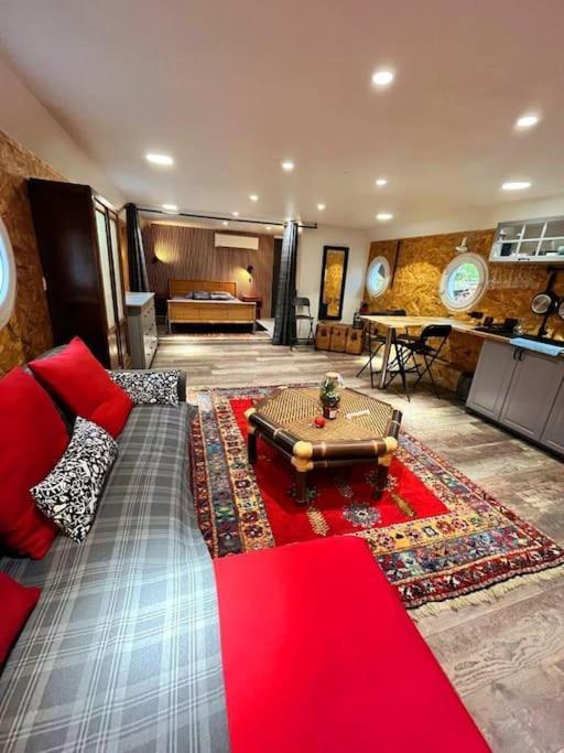 Magnifique Peniche Cosy Et Spacieuse A Toulouse Extérieur photo